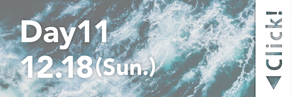 Day11