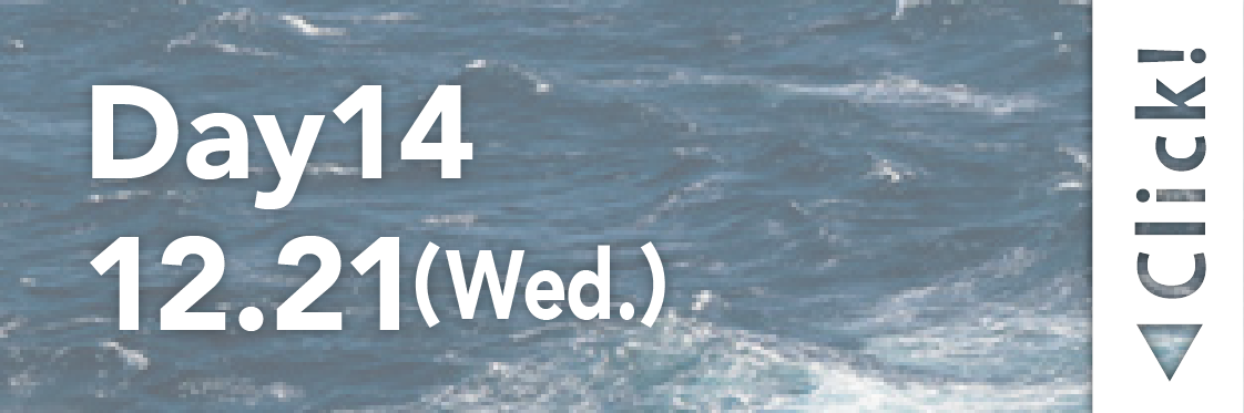 Day14